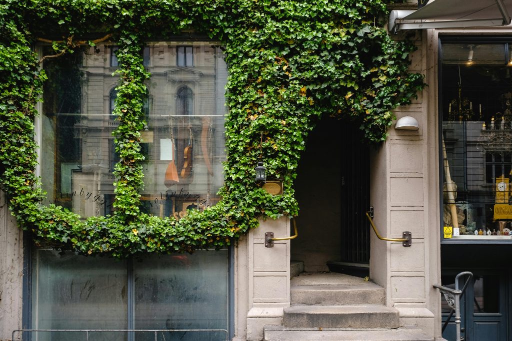 تصميم واجهات محلات